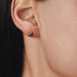 Earring BIRDS