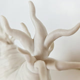 Radix II, Porcelain - Fastoun