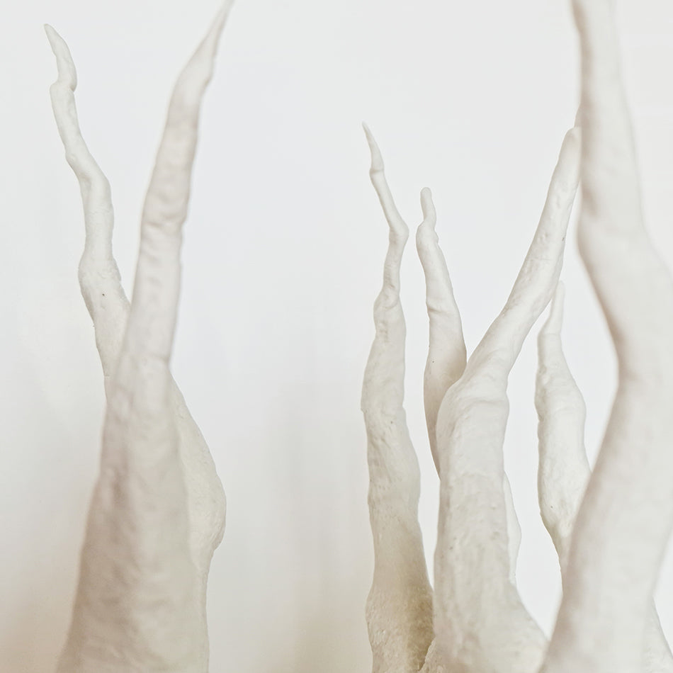 Radix III, porcelaine - Fastoun