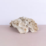 Delicate decorative organic shape - Fastoun
