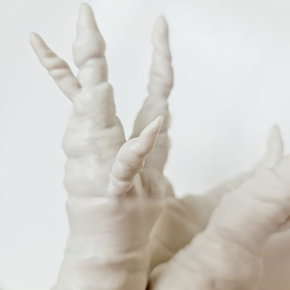 Radix I, Porcelain - Fastoun