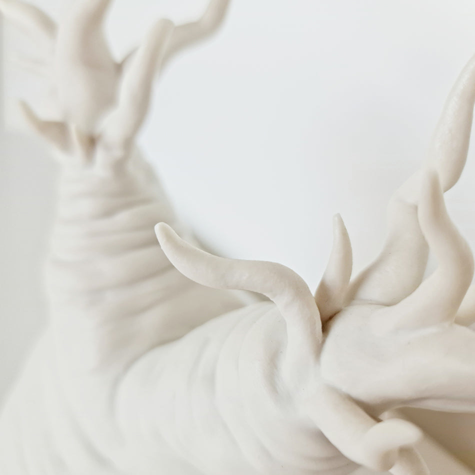 Radix II, Porcelain - Fastoun