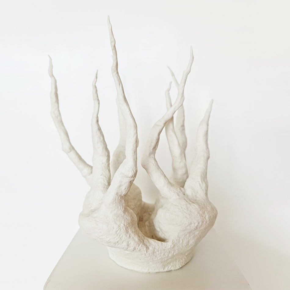 Radix III, porcelaine - Fastoun