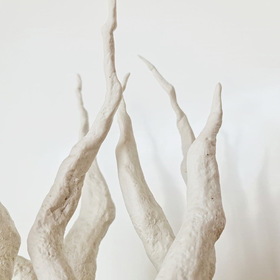 Radix III, porcelaine - Fastoun