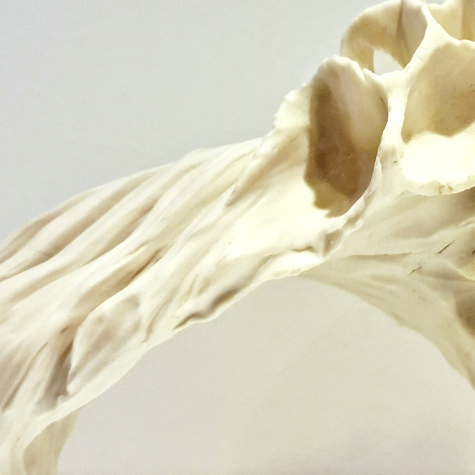 Statera, Porcelain - Fastoun