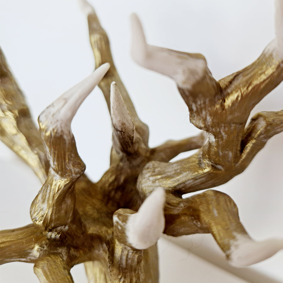 Aurum Porcelain With Gold - Fastoun